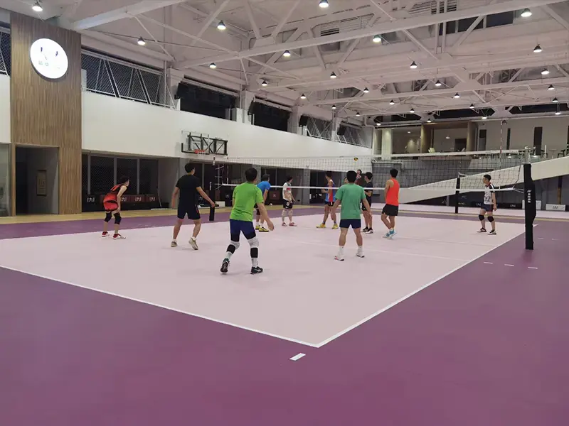 Purple pvc volleyball court floor