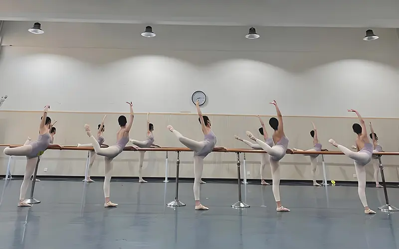 Professional dance studio flooring