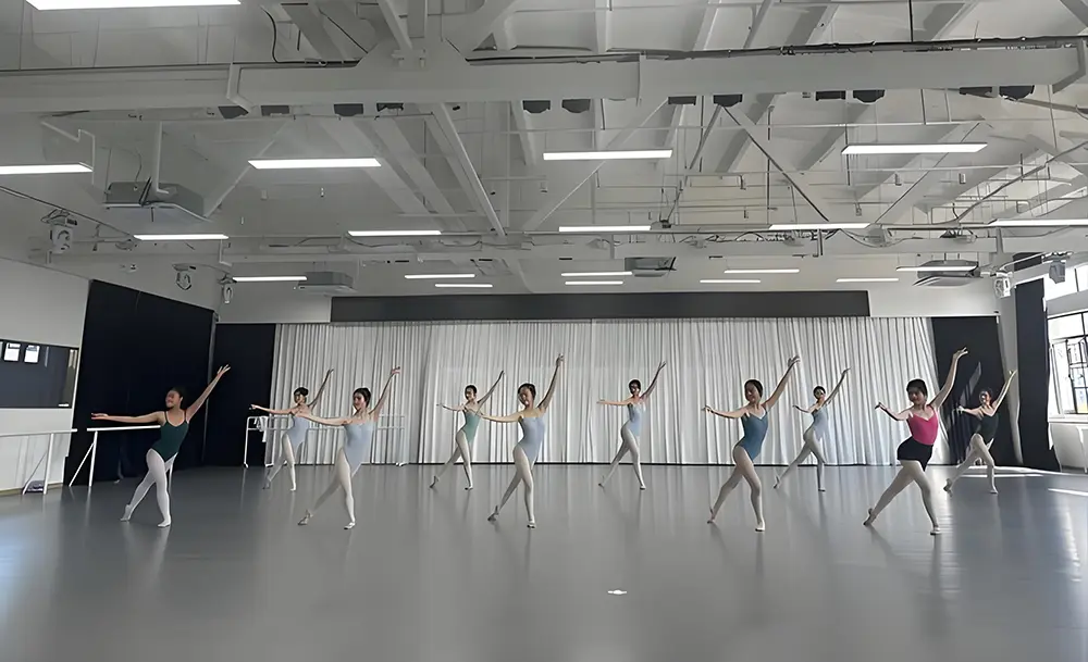 vinyl dance flooring